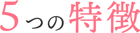 文字:5つの特徴